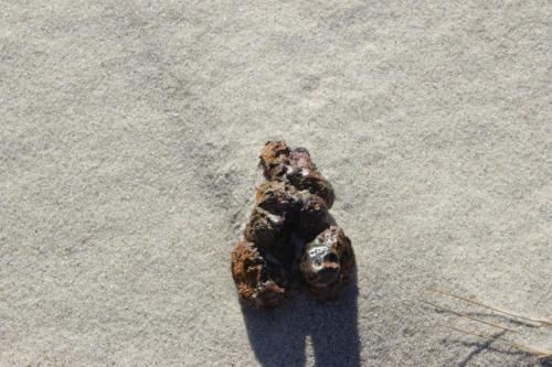 IMG 4792